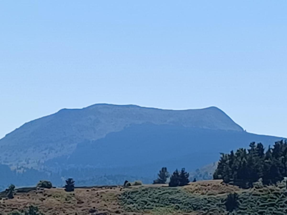 Gite Aurives Le Cheylard Bagian luar foto